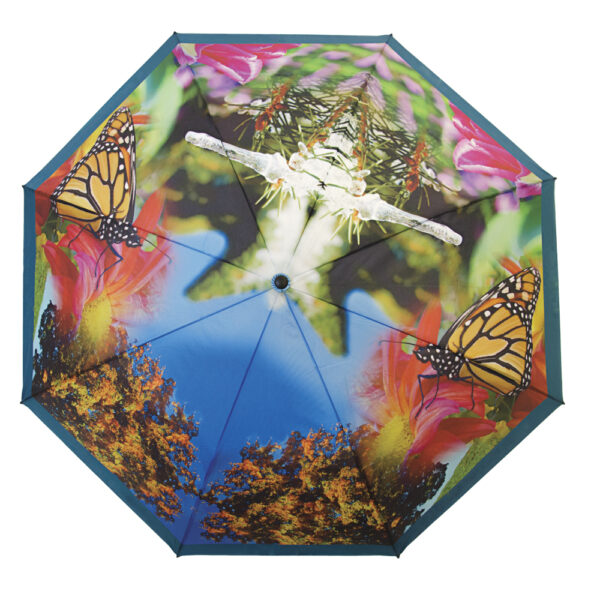 Full-Color Canopy Printing - Single Canopy Folding - Image 3