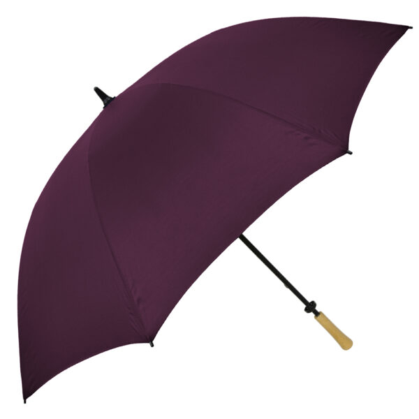 The Hole-in-One Golf Umbrella - Image 13
