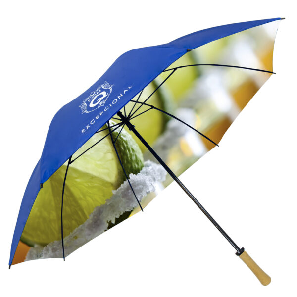 Full-Color Canopy Printing - Double Canopy Golf - Image 3