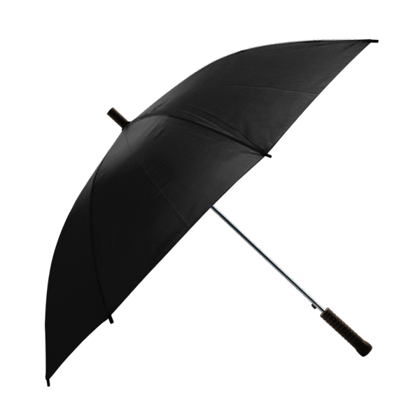 shed-rain-pathfinder-48-auto-open-stick-umbrella